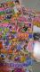 DVD3Zbg@p`RIWipSP vol.15Ap`RKKCh@ɏvX