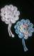 ڰ҂݂̃RT[W2&ٰn݁