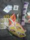 1~؎ gpʐMp|Cg؎x@oyC