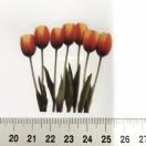 ���X�g��`���[���b�v�̃R���[�W���V�[���@398