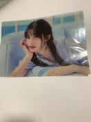 IVE �C�\�@�����N���A�|�X�^�[�@ALIVE �y�V�u�b�N�X���T