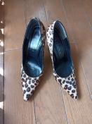 DIANAqEnCq[pvXJbRCCfG_CAi