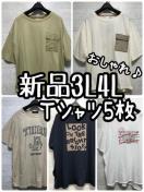 Vi3L4L􂨂TVcFX5܂Ƃ߂āG905