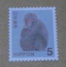 5�~�؎�@1��