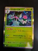 �}�X�J�[�j��