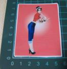 60�f���@�s���i�b�v�E�K�[���@���@�X�e�b�J�[