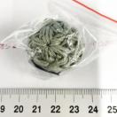 8*nhCh􃊃t҂݃{[Xgbv@6