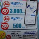 QUO�J�[�hPay������/1��