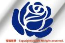 KNo/XebJ[(/blue roseu[[Yj8.5cmAOόf