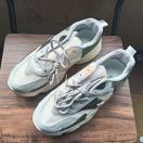 Vi 24.5cm fB[X Xj[J[ O[ V[Y C JWA