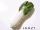 《New》新鮮お野菜★小松菜★箸置き(カトラリーレスト)