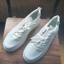 Vi 26cm Y Xj[J[ zCg V[Y C 42 JWA