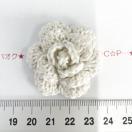 10*�n���h���C�h*�����K�N���`�[�t�@15