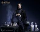 INART STUDIO AG-A017 �n���[�E�|�b�^�[�ƌ��҂̐� �Z�u���X�E�X�l�C�v DX.Ver�A��Harry Potter