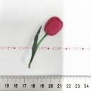 �`���[���b�v�̃R���[�W���V�[���@349