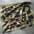 smart�G���t�^��A BATHING APE �o���_�i��