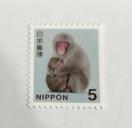 5�~�؎�@1��