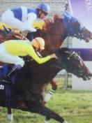 n JRA 08 Vc H ߰m  ޲ܽگ ްّO 