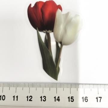 ׽ā����د�߂̺װ�ޭ��ف@382