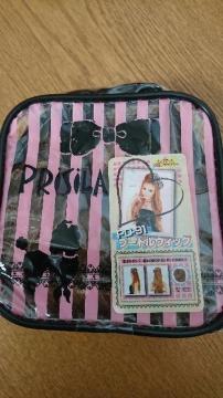 PRiSiLA߰ٳށPD-91LiYEVi