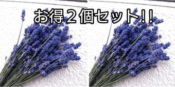 Zx_[ 2Zbg߂ݍH[ kChCt[Exǖ nhCh [X ԍ