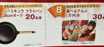 ����ׂ�O����1���~/�o�[�~�L�����t���C�p��/200���l1��