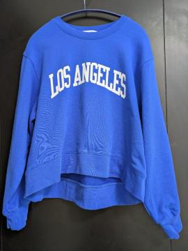 �T�j�[���[�x�����X�E�F�b�g���ߗށ��A�[�o�����T�[�`������600�`