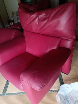 �J�����N �{�v ��l�|���\�t�@