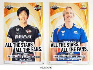 �I��摜����t���b�O �B�c �����I�� �~ �e�C���[�E�G�C�u�����I��