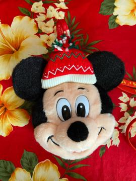 新品未使用☆東京ディズニーランド☆ミッキーマウスパスケース☆