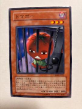 �V�Y���y�ŁE�g�}�{�[�z