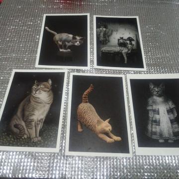 �L�̃A�[�g�|�X�g�J�[�h5���Z�b�g