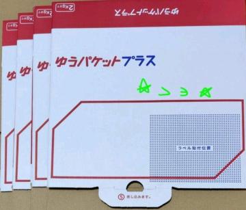 䂤pPbgvX p 4 Vigp {X ʗX֑