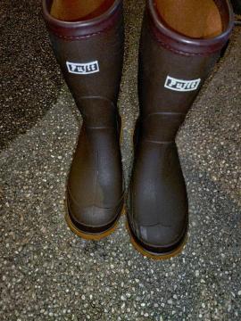 KIDS  fB[X  Pujit 23cm   قږgp Cu[cEC