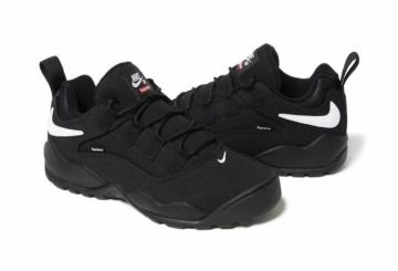 Supreme~Nike SB Darwin Low Desert Black