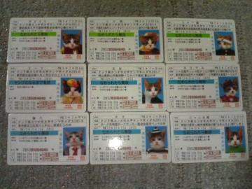 �ڶ  �Ȃ߂˂����޶�� 2�e �Ȃ߂�Ȃ� �m�[�}�� 18���Z�b�g