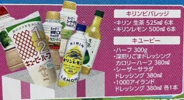 �^�C�A�b�v���L���[�s�[+�L�����y�b�g�{�g���l�ߍ��킹/100���l1��