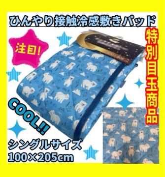 ���ʖڋʏ��i���ڐG�⊴�Ђ���~�p�b�h���V���O���T�C�Y��100�~205cm