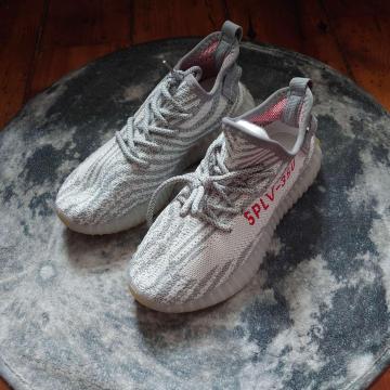 Vi 24cm fB[X Xj[J[ O[ V[Y C [Jbg