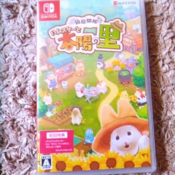 �n���X�^�[�Ƒ��z�̗�