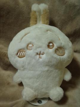 ���������큡�ʂ��ς���Ɓ`�~���N����`�ʂ�����݇A����������