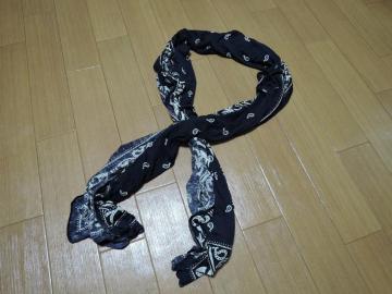 �m���l�C�e�B�unonnative�y�C�Y���[���X�g�[�����nflumpool���p