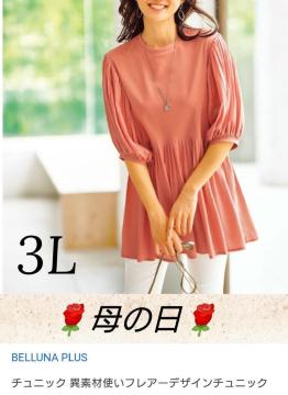 �V�i���g�p ��̓��̃v���[���g�� �x���[�i�v���X 3L
