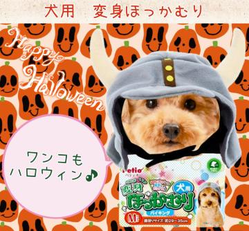 p񁚂قނ聚ϐgObYoCLOCnEBybgpObYybgVigp