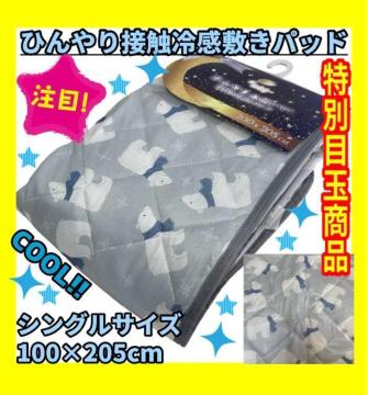 ���ʖڋʏ��i���ڐG�⊴�Ђ���~�p�b�h���V���O���T�C�Y��100�~205cm