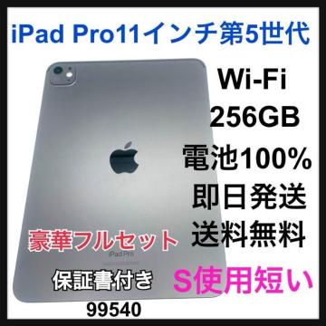 dr100% iPad  Pro 5 11C`@256 GB Wi-Fi