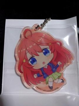 �ܓ����̉ԉ� �ӂ����R �ܓ����̉ԉŃA�N�����L�[�z���_�[ ����܌�