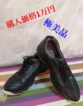 ɔigpfitfit Xj[J[ 24m炸SnōɂubN劈