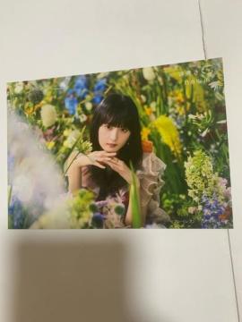 �T�؍�46 ����������@���ʐ^�@�`�[�g�f�C�@�Z�u���l�b�g