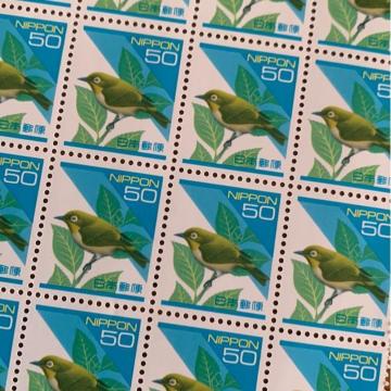 281LO؎1000~(50~؎)